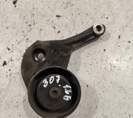 Peugeot 307 Timing belt/chain tensioner 