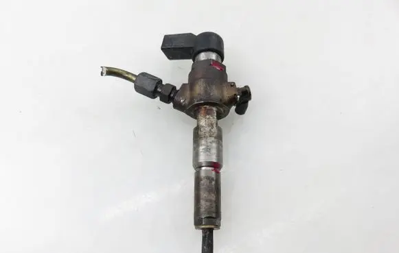Citroen C2 Fuel injector 9654551080
