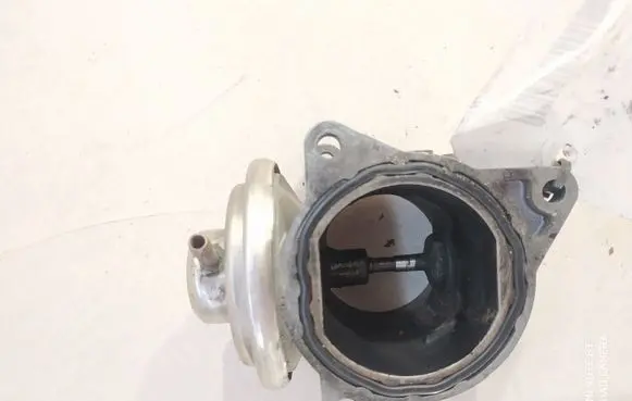 Skoda Roomster (5J) EGR valve