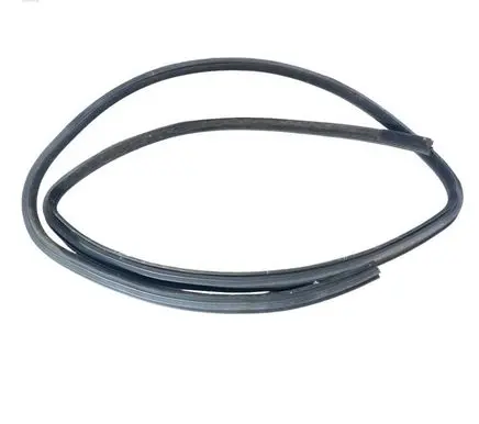 Dodge Charger Rear door rubber seal (on body) 