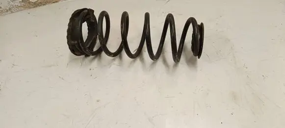 Rear coil spring