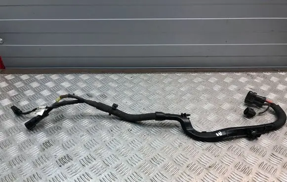 Audi A4 S4 B9 Other wiring loom 8W1971111