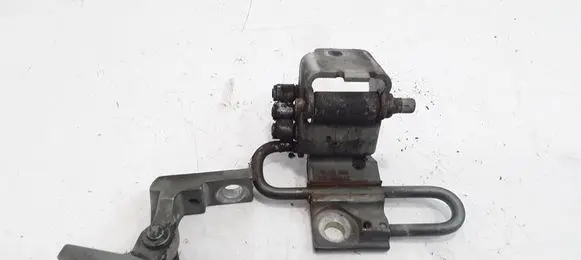 Volkswagen PASSAT B5.5 Front door hinge set 