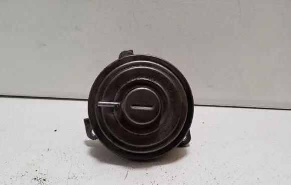 Dodge Nitro EGR valve 70131705 9002020H