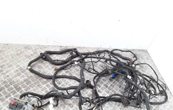 Alfa Romeo 166 Other wiring loom 60698368