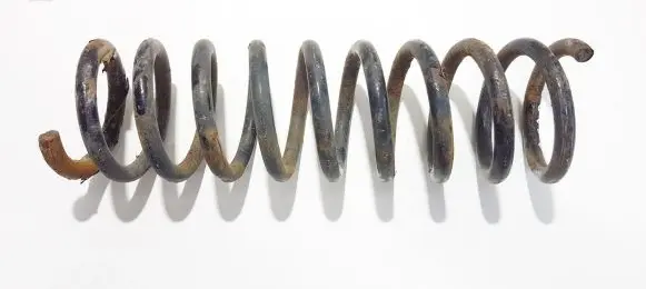 Ford Focus Rear coil spring