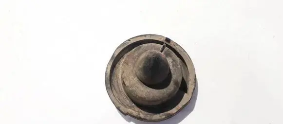Renault Megane II Front coil spring rubber mount 8200245679
