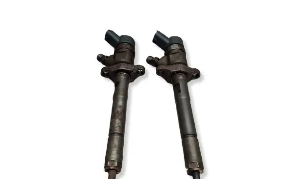 Citroen Berlingo Fuel injector S27649819 0445110259