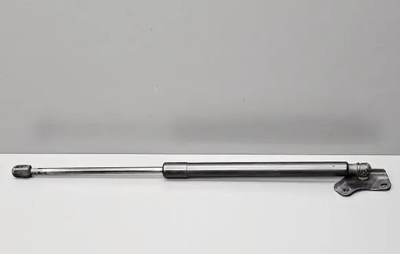 Tailgate strut