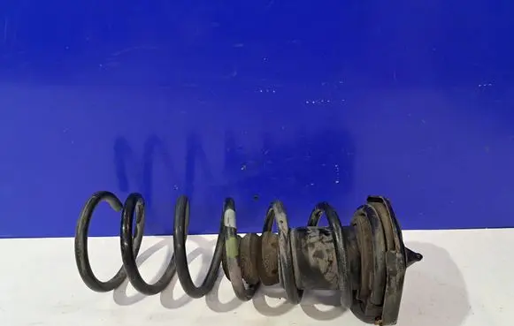 Rear coil spring