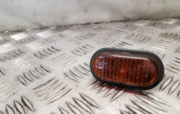 Renault Trafic II (X83) Front fender indicator light 7700847333