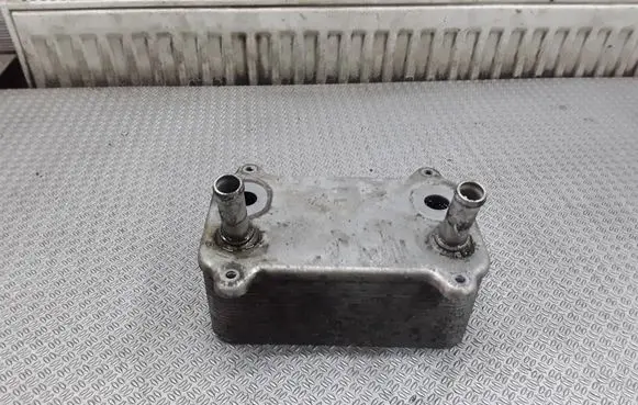 Porsche Cayenne (9PA) Oil filter mounting bracket 04021483 8463341