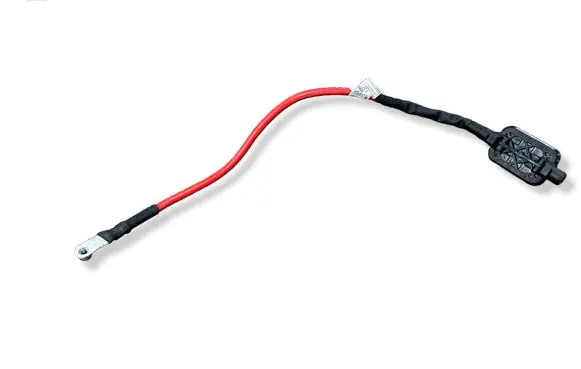 Mercedes-Benz CLS C257 Positive cable (battery) A2135408528 ZGS003