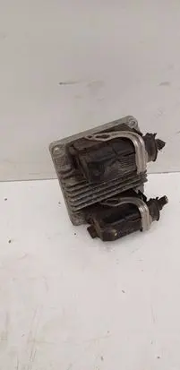 Chevrolet Kalos Engine control unit/module 310013012904 238310013 12201599