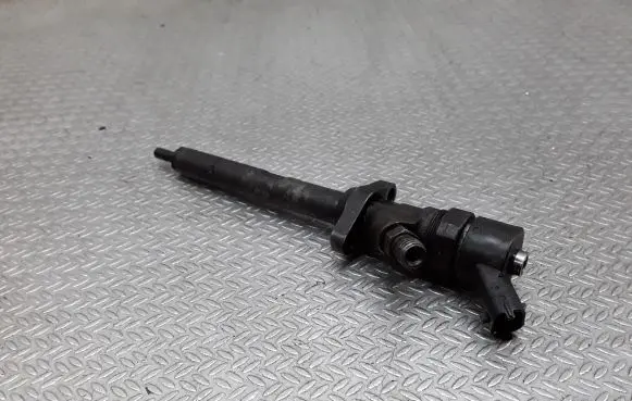 Peugeot 607 Fuel injector 0445110036