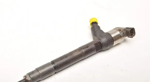 Opel Insignia A Fuel injector 55570012