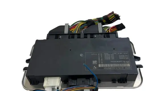 BMW 7 F01 F02 F03 F04 Light module LCM 61359203815901 2840437803300