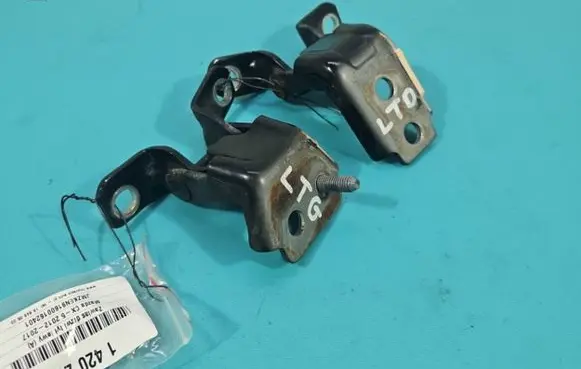 Rear door hinge set