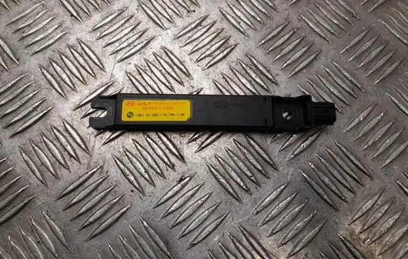 Hyundai IONIQ 6 Keyless (KESSY) go control unit/module 95460L2000