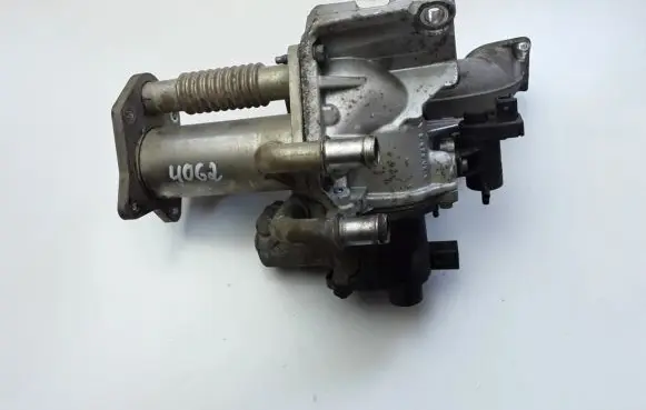 Renault Kangoo II EGR valve 501916000
