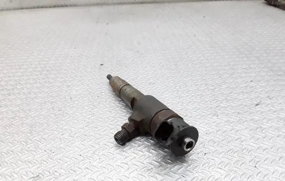 Citroen Berlingo Fuel injector 0445110340