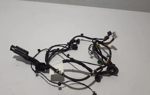 Porsche Panamera (971) Other wiring loom 971971122