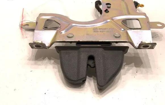 Volkswagen Phaeton Tailgate exterior lock 3D5827501H