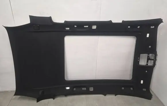 BMW X5 G05 Headlining 195204880006 807965016 0015238780