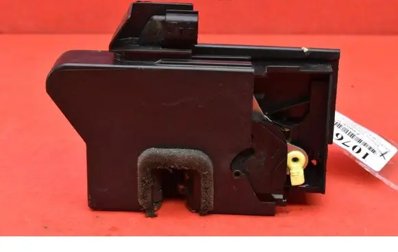 Dacia Sandero Rear door lock 825033052RB