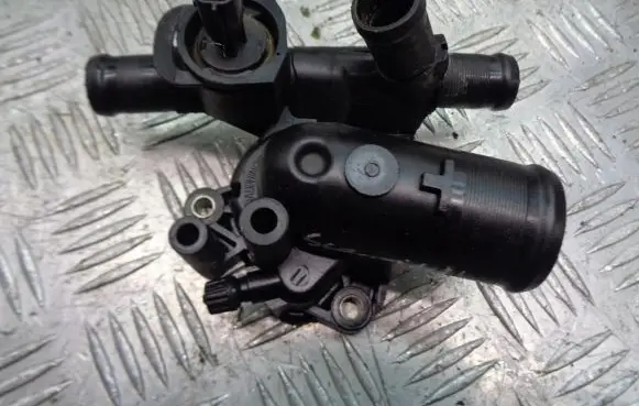 Thermostat/thermostat housing