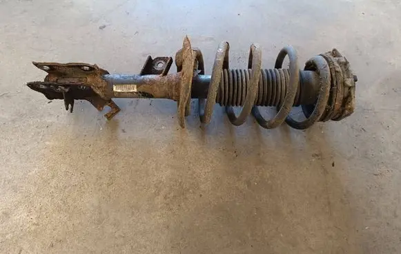 Nissan Qashqai Front shock absorber with coil spring 824903008004