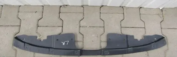 Engine bonnet/hood lock trim molding