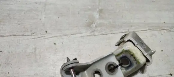 Citroen C4 Cactus Front door hinge set 