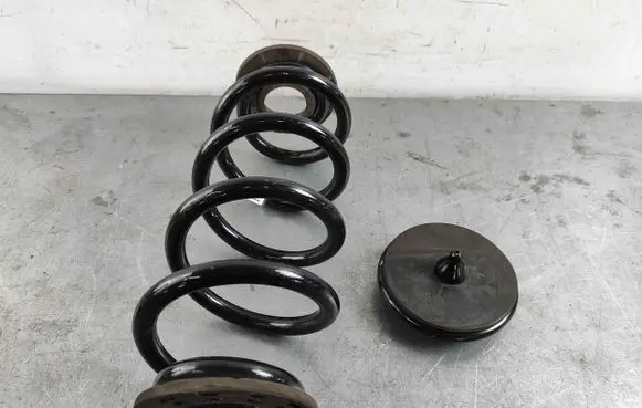 Volvo XC40 Rear coil spring 31658707