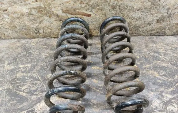 Rear coil spring