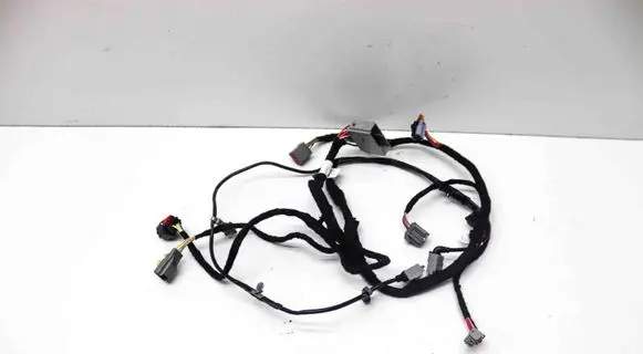 Other wiring loom