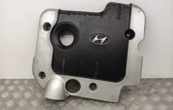 Hyundai Santa Fe Engine cover (trim) 