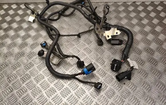 Renault Megane E-Tech Other wiring loom 240115MZ0A