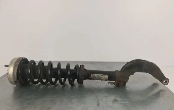 BMW X6 E71 Front shock absorber/damper 6783016