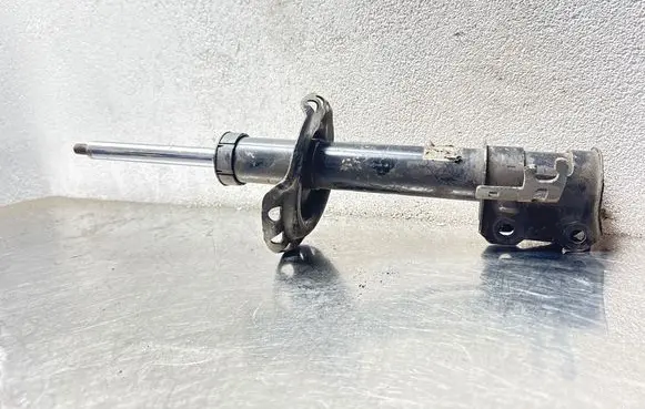 Opel Insignia A Front shock absorber/damper