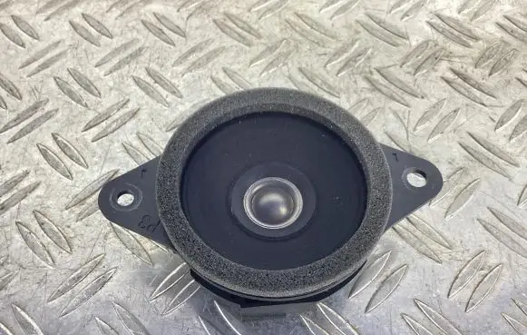 Panel speaker