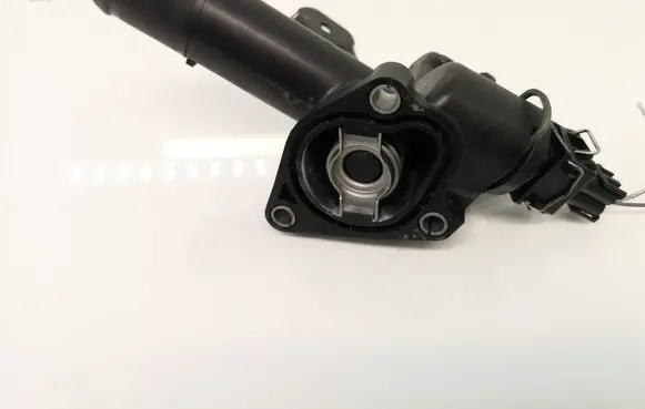 Thermostat/thermostat housing
