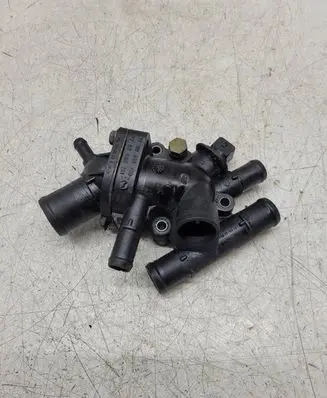 Thermostat/thermostat housing