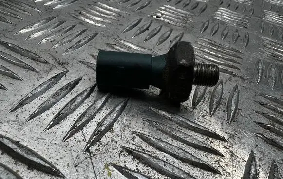 Skoda Octavia Mk2 (1Z) Oil pressure sensor 03C919081