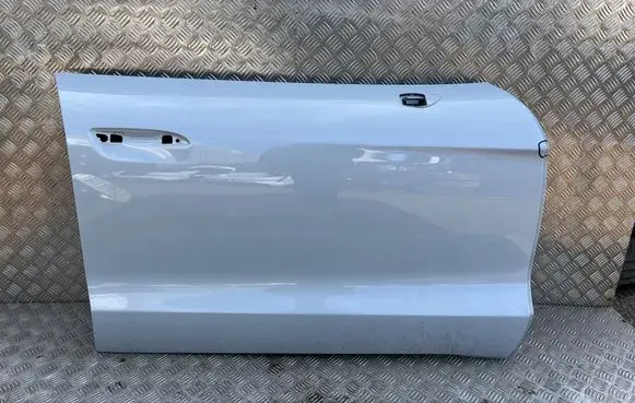 Porsche Taycan 9J1 Front door 