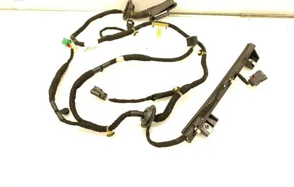 Rear door wiring loom