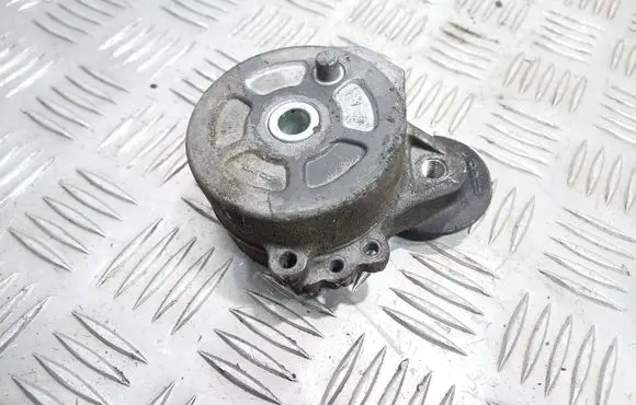 Citroen C5 Alternator belt tensioner 