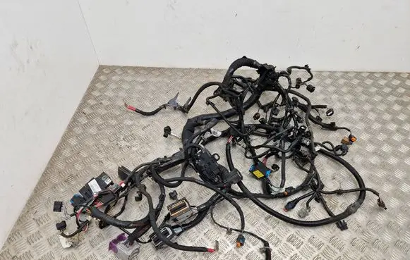 Renault Scenic IV - Grand scenic IV Engine installation wiring loom 240117599S