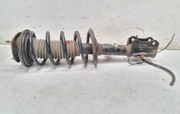 Suzuki Grand Vitara II Front shock absorber with coil spring 4160265J00