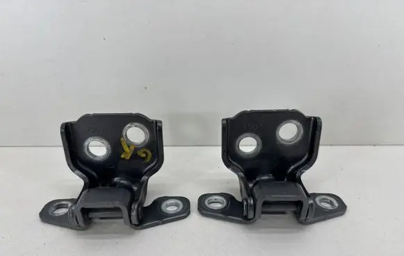 Renault Arkana Rear door hinge set